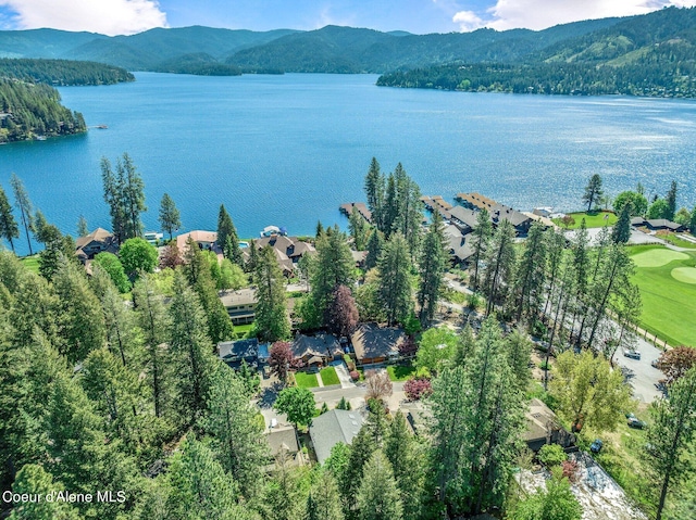 birds eye view of property featuring a water and mountain view