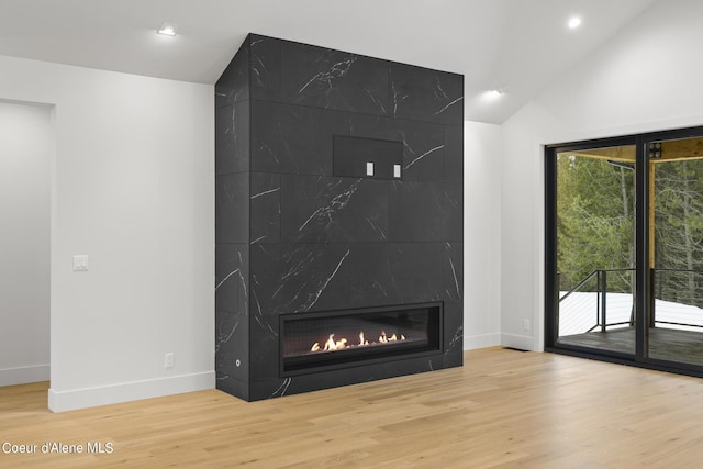 details featuring wood-type flooring and a premium fireplace