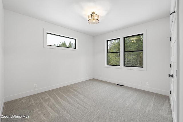 empty room featuring a healthy amount of sunlight and light colored carpet