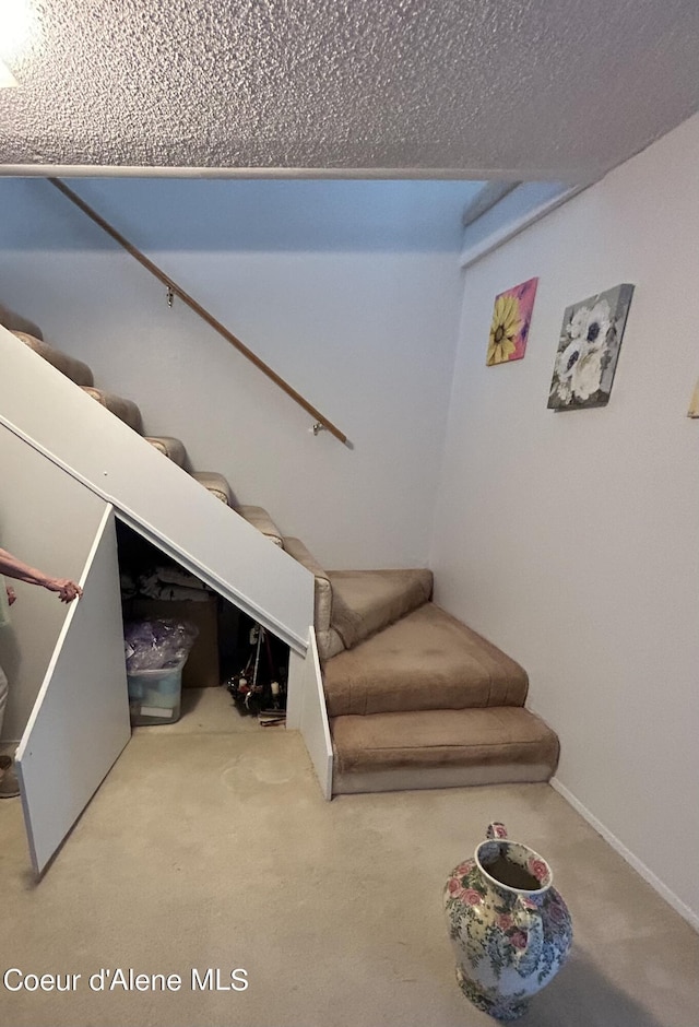 stairs featuring carpet floors