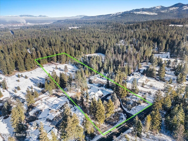 drone / aerial view with a mountain view