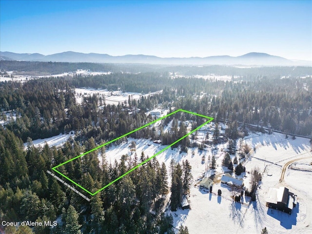 snowy aerial view with a mountain view