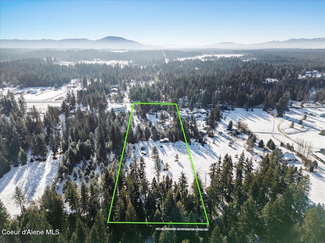 snowy aerial view with a mountain view