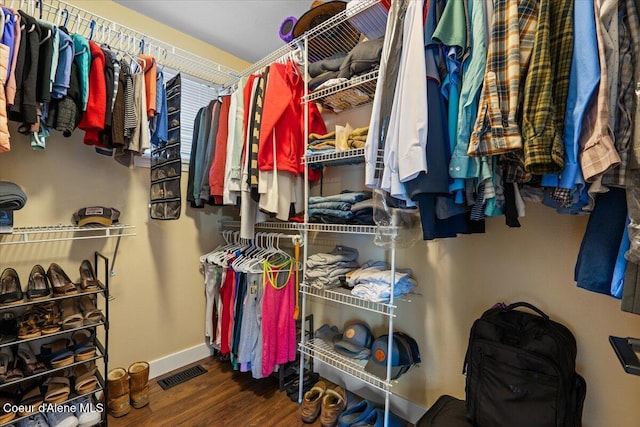 spacious closet featuring wood-type flooring