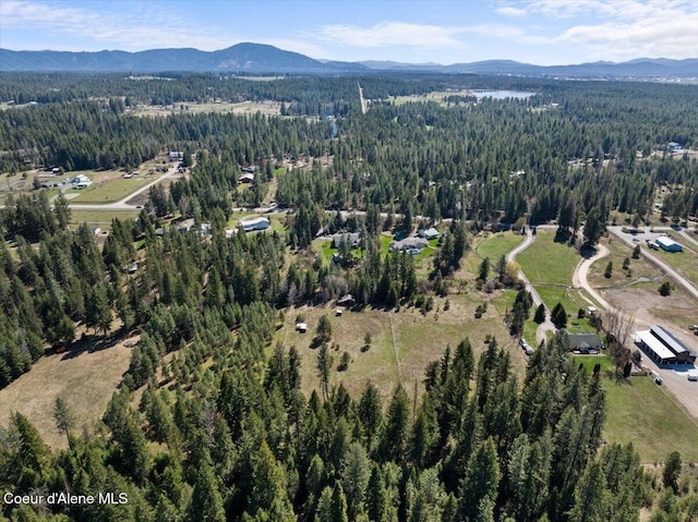 2447 E Garwood Rd, Hayden, ID 83835 - photo 37