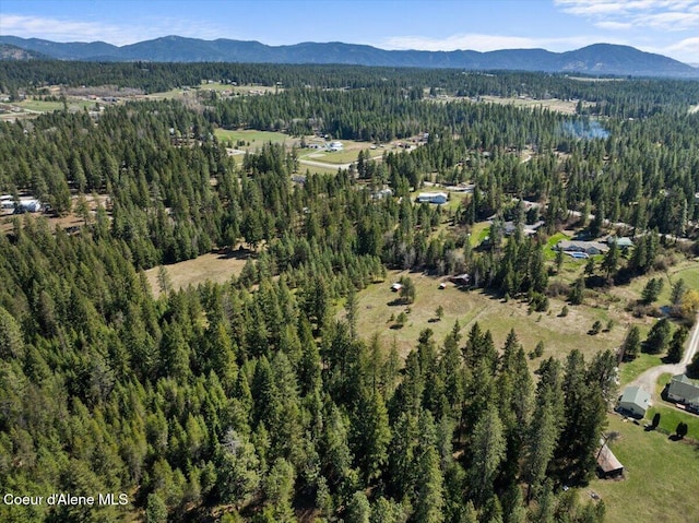 2447 E Garwood Rd, Hayden, ID 83835 - photo 56