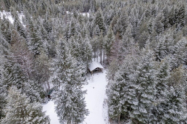 view of snowy aerial view