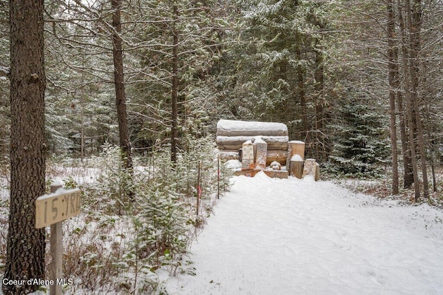 view of yard covered in snow