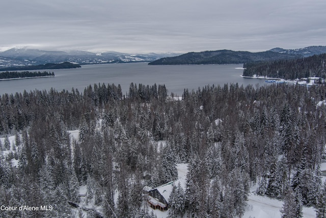 property view of mountains with a water view