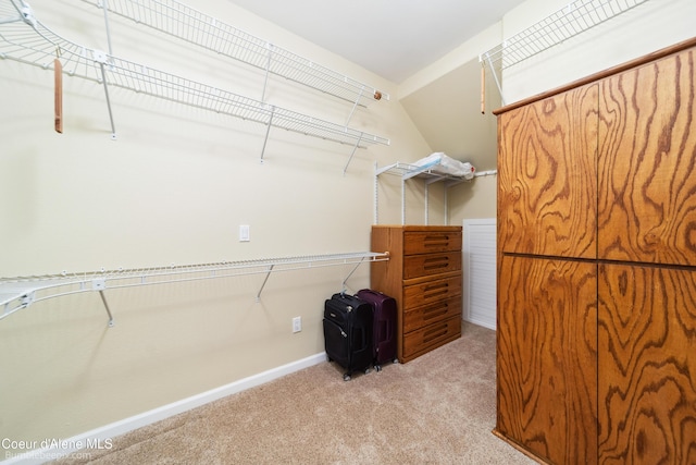 spacious closet with light colored carpet