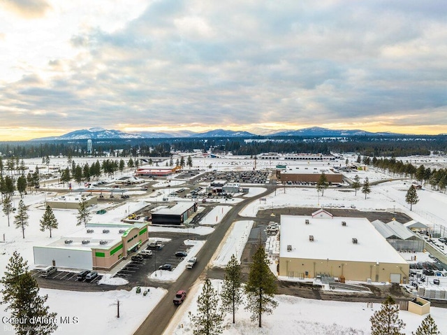 snowy aerial view featuring a mountain view