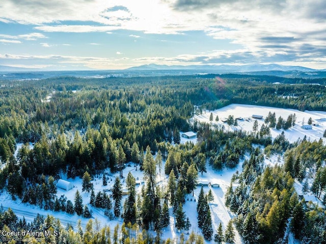 snowy aerial view featuring a mountain view and a view of trees