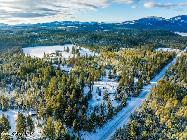 snowy aerial view featuring a mountain view