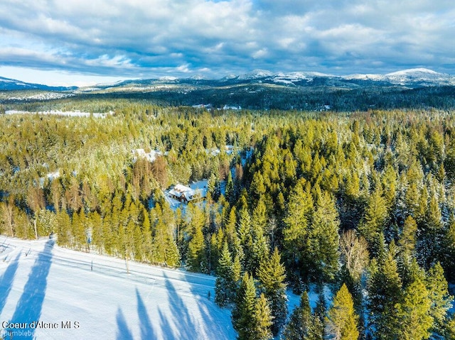 bird's eye view with a mountain view and a view of trees