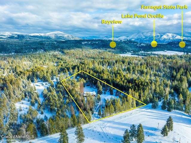 bird's eye view featuring a mountain view and a view of trees