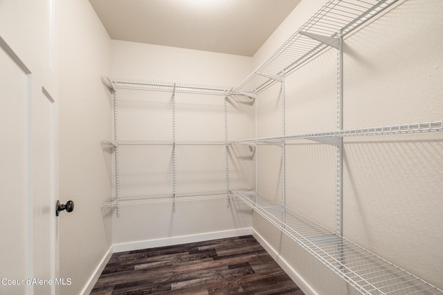 walk in closet with dark wood-type flooring