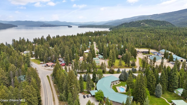 drone / aerial view featuring a water and mountain view