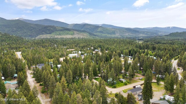 drone / aerial view with a mountain view