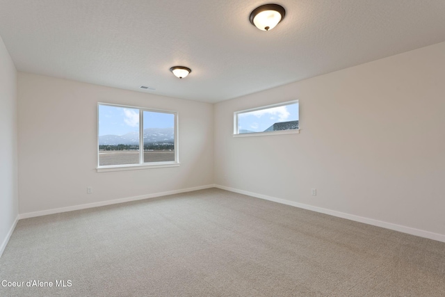 spare room with a textured ceiling and carpet flooring