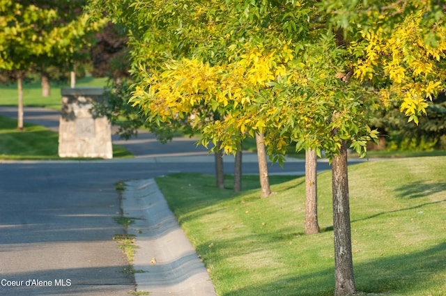 surrounding community featuring a lawn