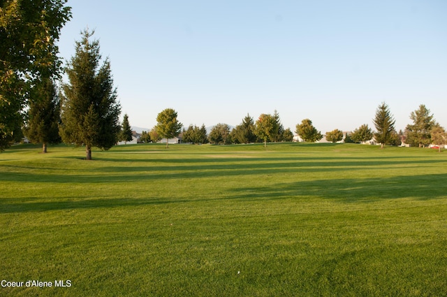 view of community with a lawn