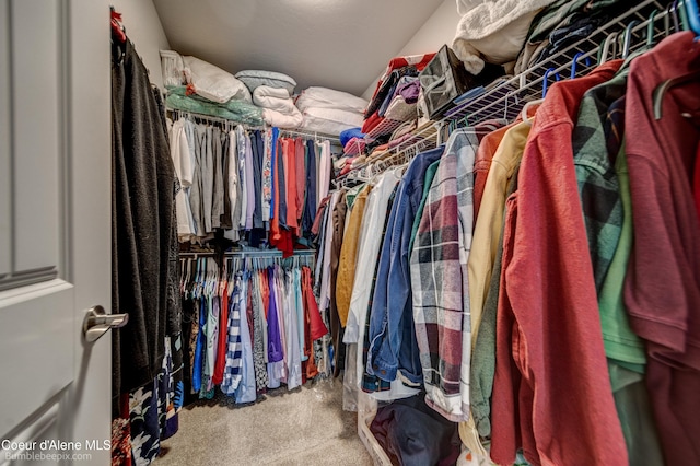 spacious closet with carpet floors