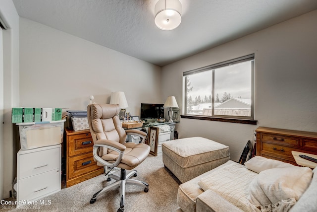 carpeted office space with a textured ceiling