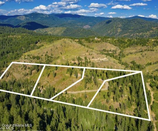 Listing photo 3 for 23ACRES S Blue Creek Rd, Coeur Dalene ID 83814