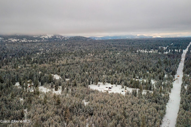 drone / aerial view featuring a mountain view