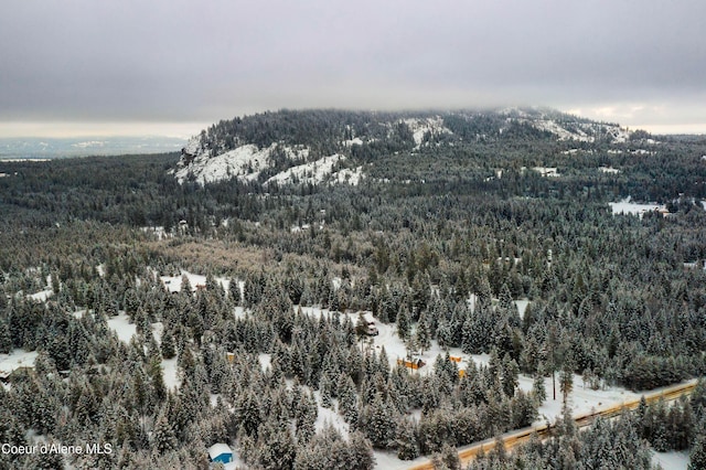 birds eye view of property featuring a mountain view