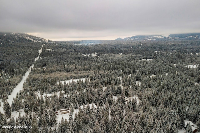 bird's eye view featuring a mountain view