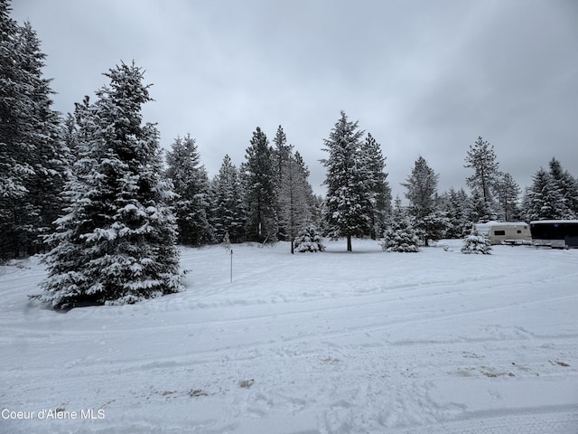 view of yard covered in snow