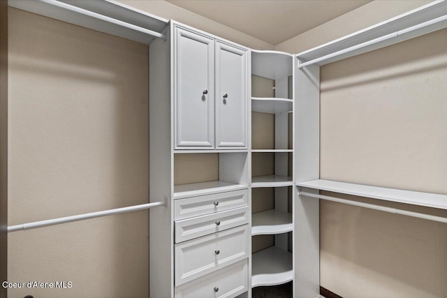 13043 N Zodiac Loop, Rathdrum, ID 83858 - view of walk in closet