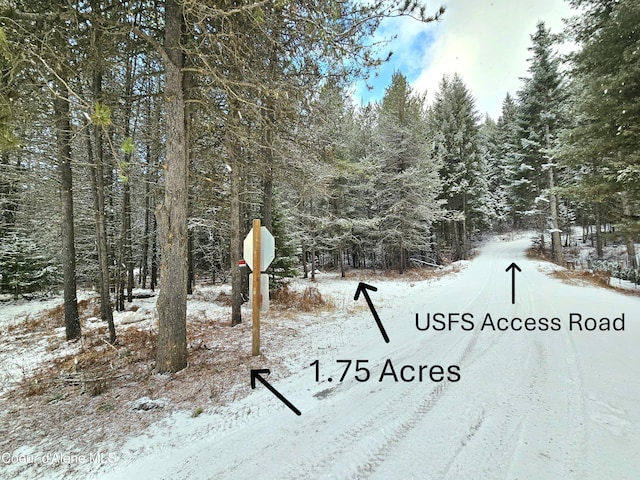 Listing photo 3 for NNA Bear Claw Rd, Clark Fork ID 83811