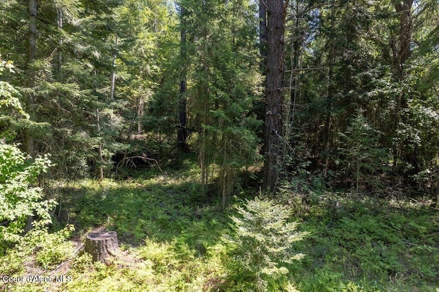 2343 Wrenco Lp, Sandpoint, ID 83864