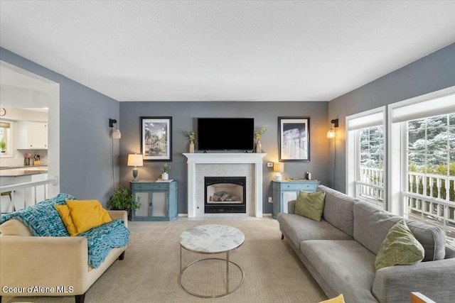 carpeted living room with a textured ceiling