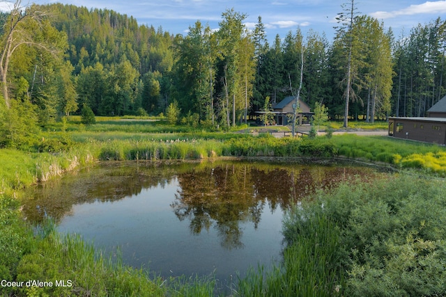 52 Waterdance Way, Sandpoint, ID 83864 - photo 57