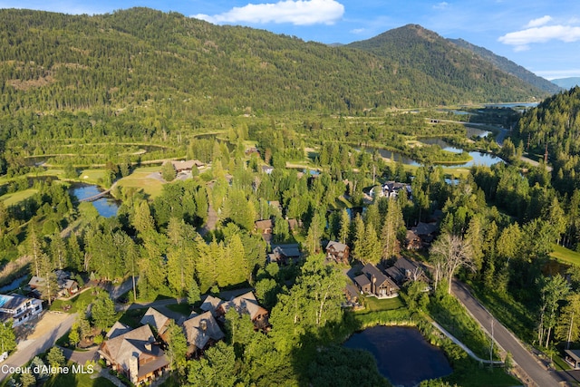 52 Waterdance Way, Sandpoint, ID 83864 - photo 63