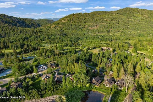 52 Waterdance Way, Sandpoint, ID 83864 - photo 64
