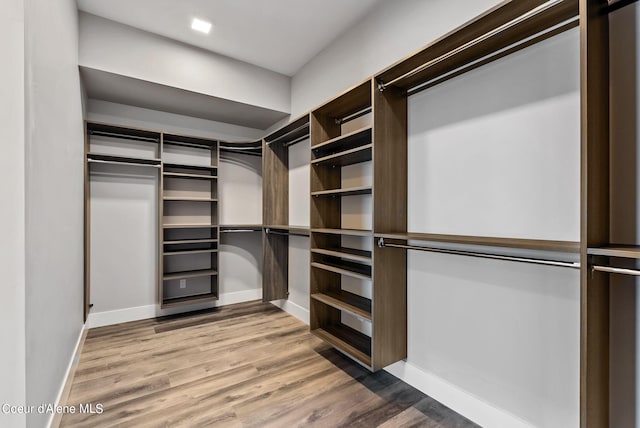 spacious closet featuring hardwood / wood-style floors
