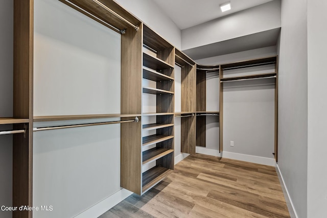 walk in closet with hardwood / wood-style flooring