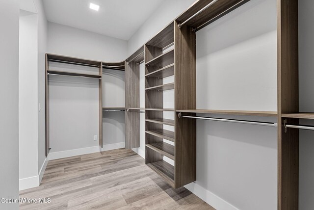 spacious closet with light hardwood / wood-style floors