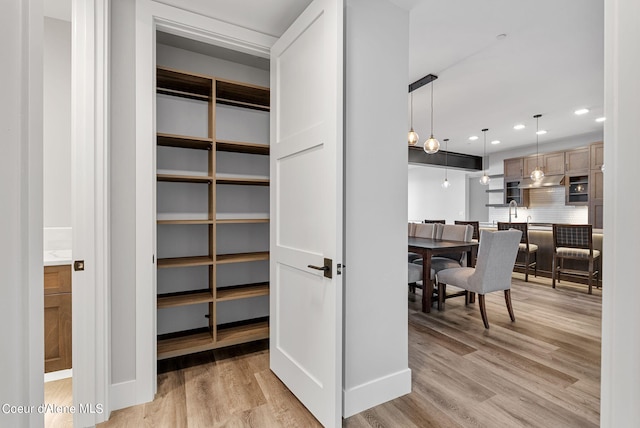 closet with sink