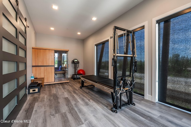 exercise room featuring hardwood / wood-style floors and a barn door