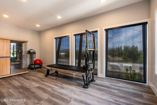 exercise area featuring hardwood / wood-style floors