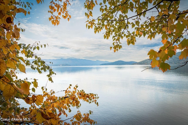 water view with a mountain view