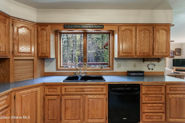 kitchen with sink and dishwasher