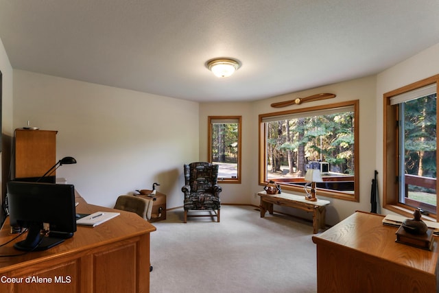 home office featuring light carpet