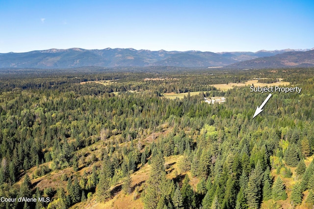 aerial view with a mountain view