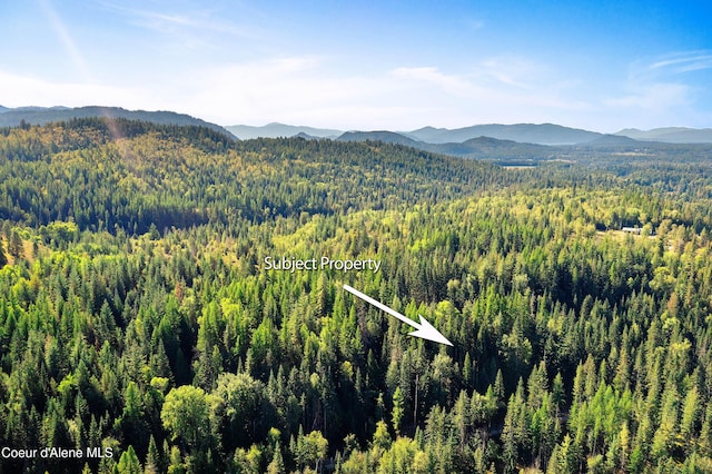 property view of mountains